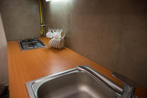 Zara Central Apartments Apartment in Timiș County