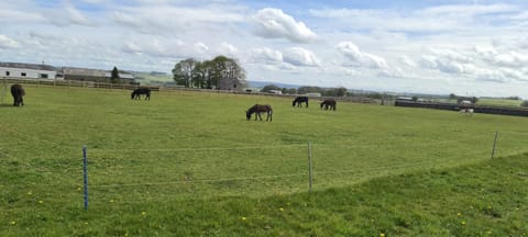 Greystones nawab sleeps 2 unit a in buxton in peak park Apartment in Monyash