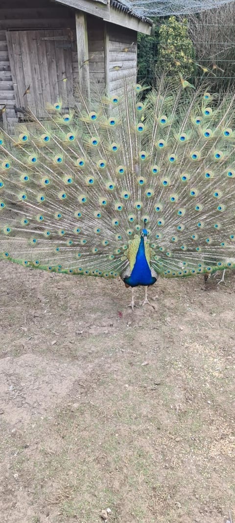 Greystones nawab sleeps 2 unit a in buxton in peak park Apartment in Monyash