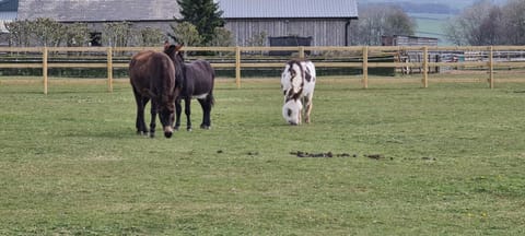 Greystones nawab sleeps 2 unit a in buxton in peak park Apartment in Monyash