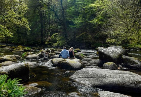 Yar Tor Apartment Apartment in Teignbridge
