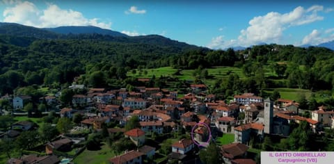 Neighbourhood, Natural landscape, Bird's eye view