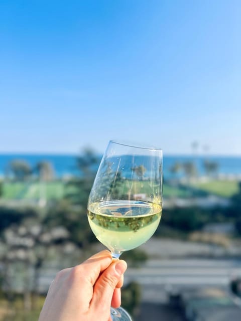 La terrazza nel blu Apartment in Sanremo