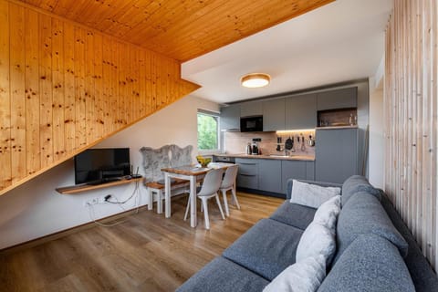 Kitchen or kitchenette, Living room, Seating area