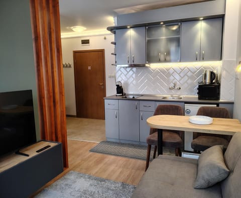 Kitchen or kitchenette, Living room, Seating area, Dining area, stove