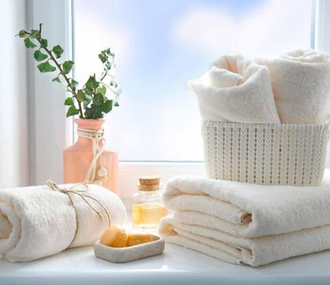 Meson Cavour Apartment in Basilicata