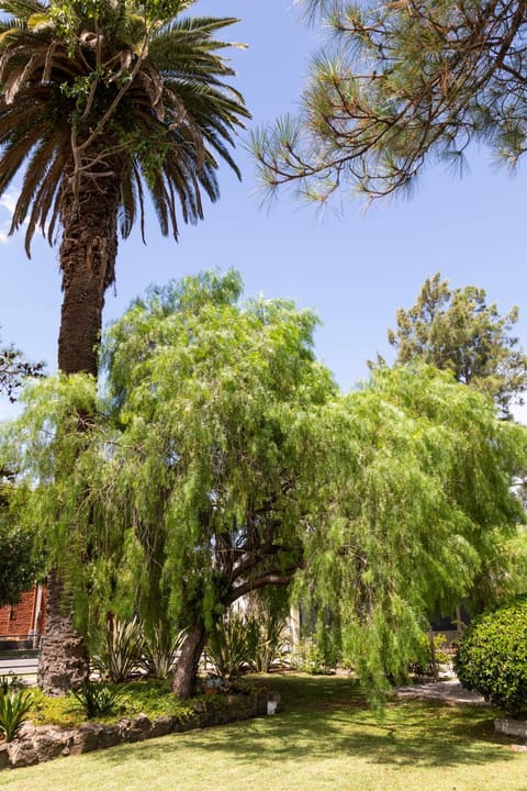 Natural landscape, Garden, Garden view