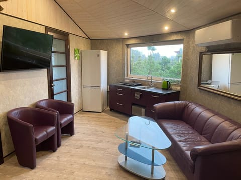 Kitchen or kitchenette, Living room, Seating area