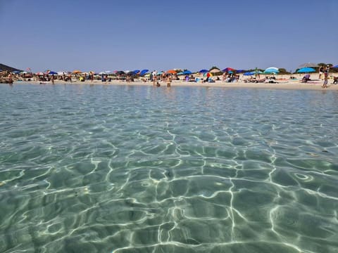 Natural landscape, Beach, Sea view