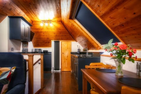 Kitchen or kitchenette, Dining area, oven, stove