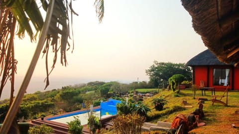 Day, Natural landscape, Garden, Garden view, Pool view, Swimming pool, sunbed