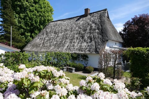 Property building, Day, Garden