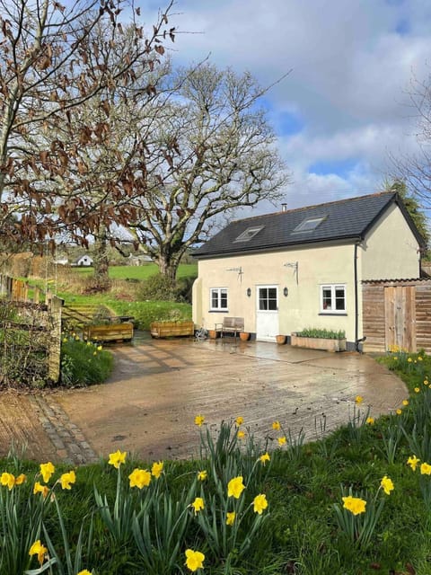 Property building, Garden view