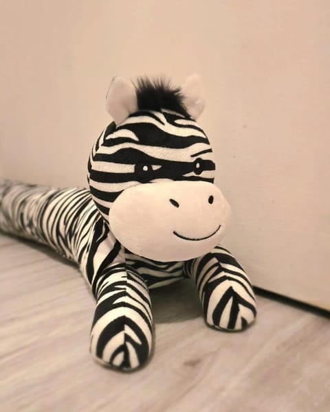 L'Oasis urbaine Apartment in Le Mans