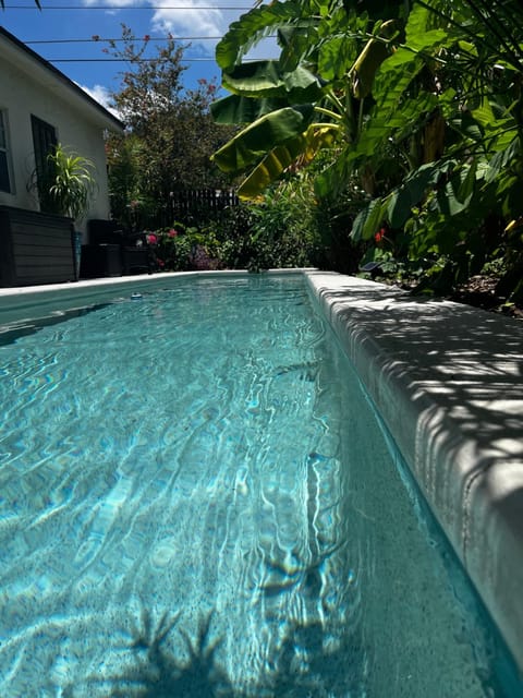 Garden, Swimming pool