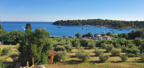 Garden, Sea view