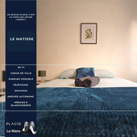 Le Matisse Apartment in Le Mans