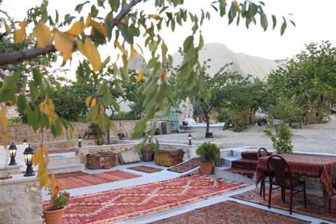 Spring, Day, Garden, Garden, Garden view