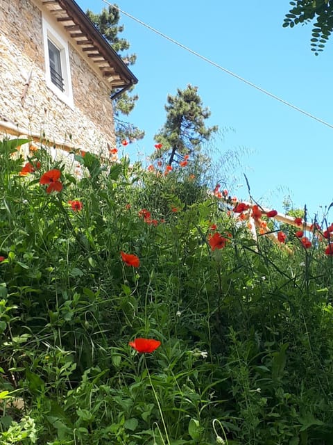 Villa Cima delle Poiane, Stunning View Villa in Lucca