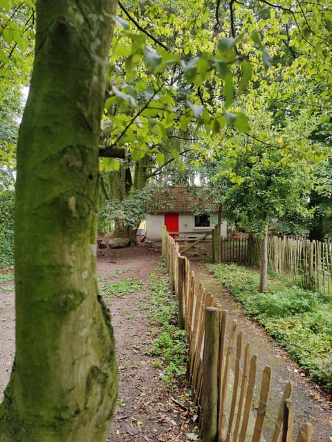 Memories Bed and Breakfast in Flanders