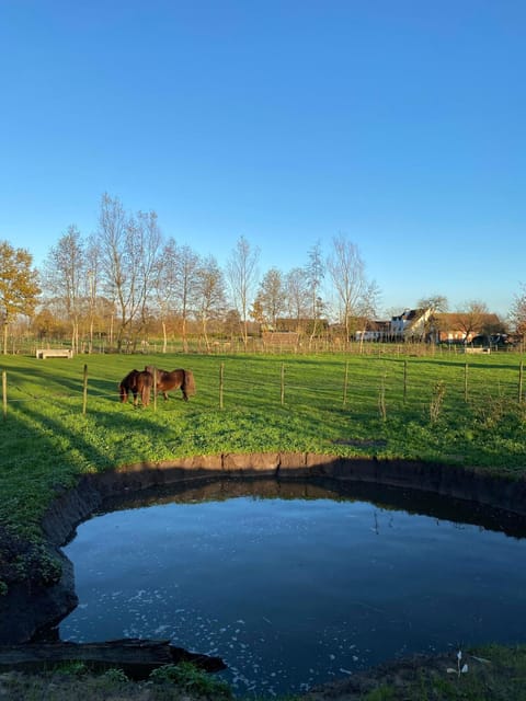 Memories Bed and Breakfast in Flanders
