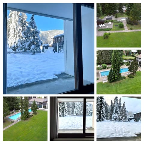 Apartment with Pool, Sauna & Gym Apartment in Canton of Grisons