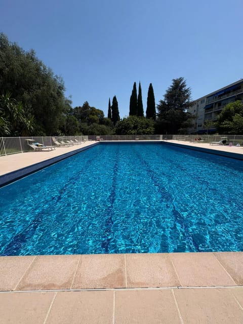 Day, Pool view, Swimming pool