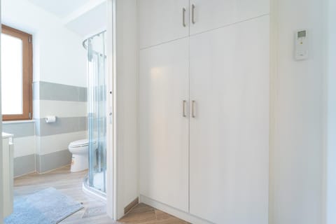 Toilet, Bathroom, wardrobe