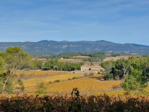 Garden, Garden view