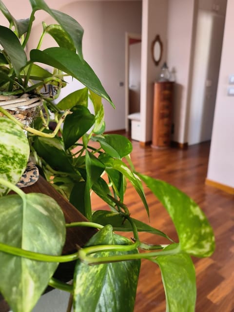 Casa vacanze Annina Apartment in Pescara