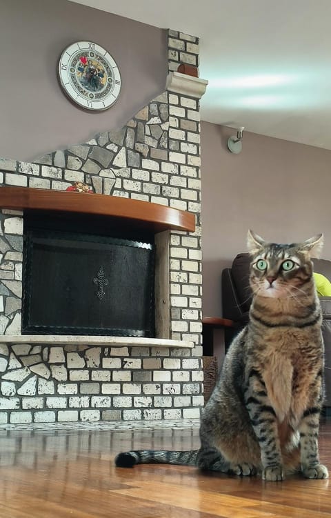 Casa vacanze Annina Apartment in Pescara