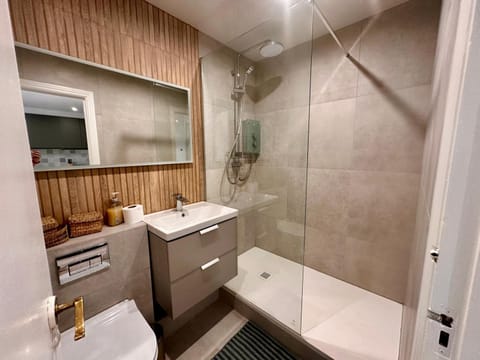 Newly Renovated Christchurch 1BD Roof Garden Apartment in Dublin