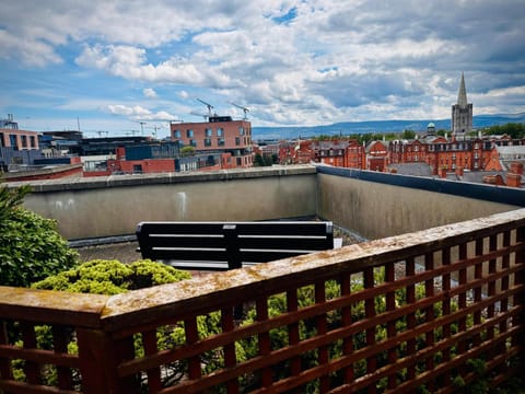 Newly Renovated Christchurch 1BD Roof Garden Apartment in Dublin