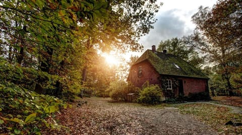 Property building, Garden, Sunset