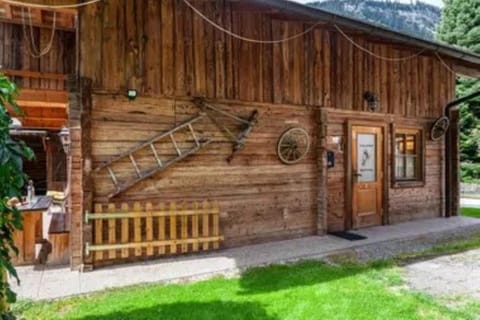 Spring, Garden, Garden view