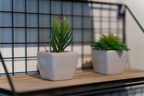 Open Mind Property - HotTub,7 Beds & Free Parking Apartment in Portsmouth