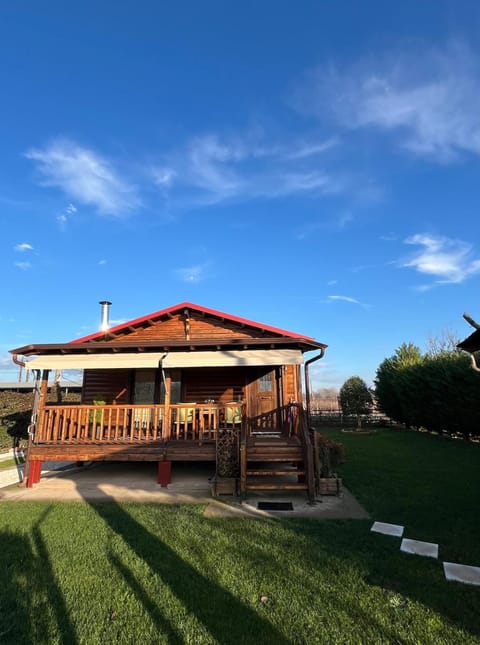 Property building, Day, Garden, Garden view