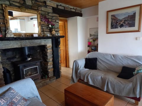 Connemara sea side house, dog paradise! Villa in County Mayo