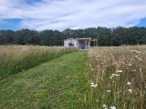 Off site