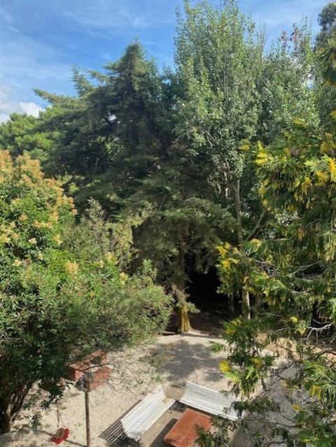 Day, Natural landscape, Garden, Garden, Garden view