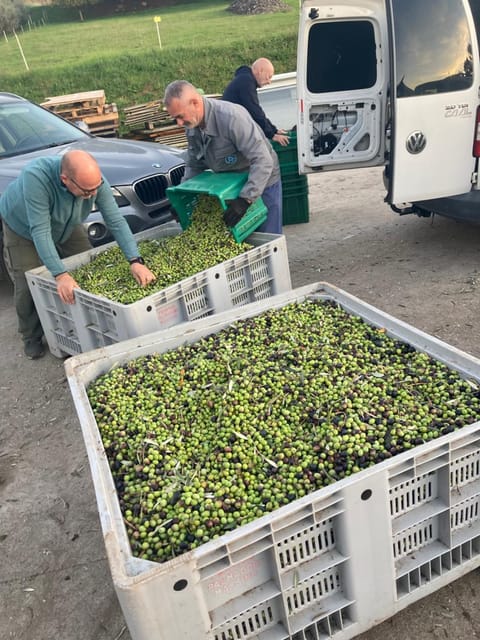 LA CASA FRA gli ULIVI UMBRA Apartment in Terni