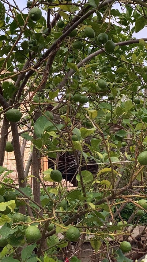 LA CASA FRA gli ULIVI UMBRA Apartment in Terni