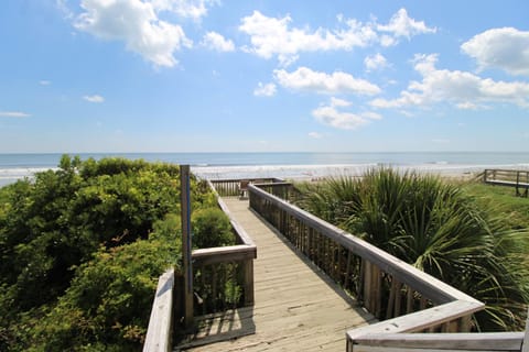 Natural landscape, Bird's eye view, Beach