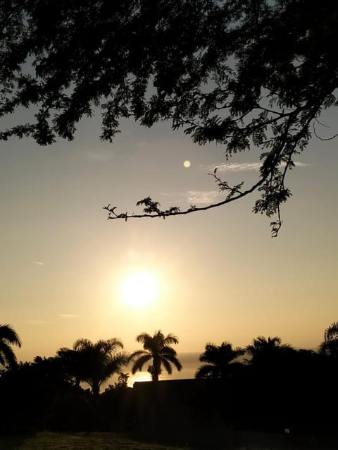 Sunrise