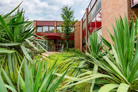 Property building, Day, Garden, Garden view