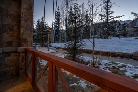 Luxury Lorian Lookout with plenty of amenities House in Mountain Village