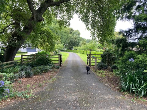 Woodhey Retreat Unit 1 Bed and Breakfast in Cambridge