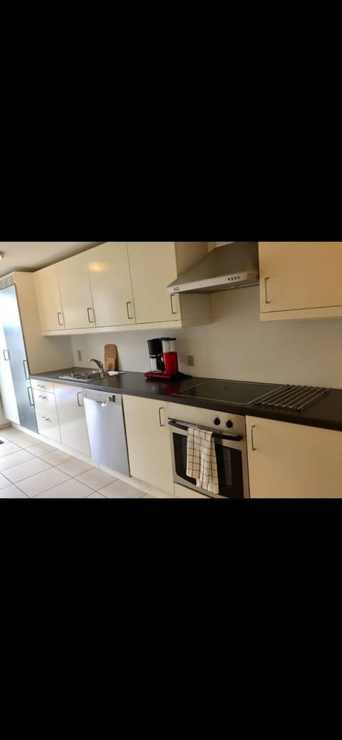 Modern & Spacious apartment Apartment in Central Denmark Region