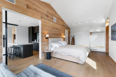 Bed, TV and multimedia, Kitchen or kitchenette, Photo of the whole room, Seating area, Bedroom, wardrobe, air conditioner