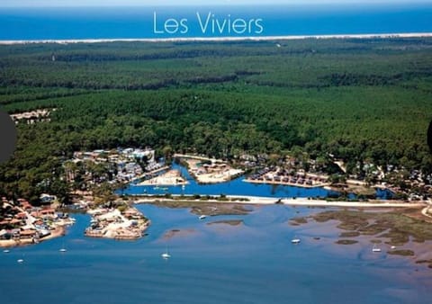 Nearby landmark, Day, Natural landscape, Bird's eye view, Beach, River view, Sea view